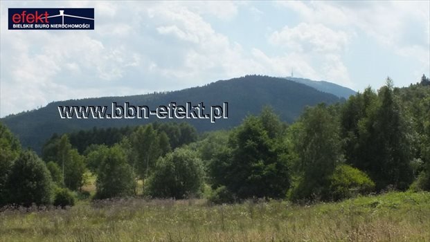Działka budowlana na sprzedaż Buczkowice 3 900m2 Foto 5
