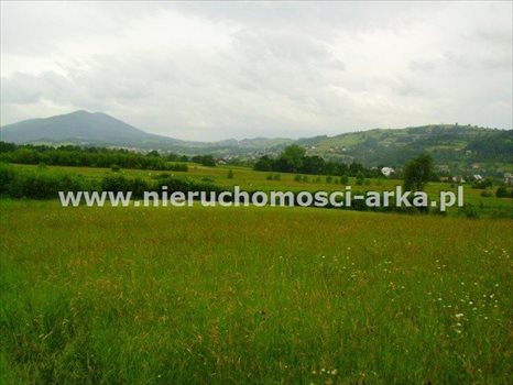 Działka budowlana na sprzedaż Dobra 1 900m2 Foto 2