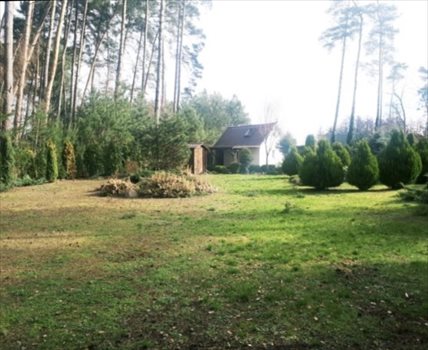 Działka rekreacyjna na sprzedaż Morzyczyn 900m2 Foto 1
