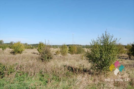 Działka budowlana na sprzedaż Wójtowo, Jarzębinowa 1 266m2 Foto 4