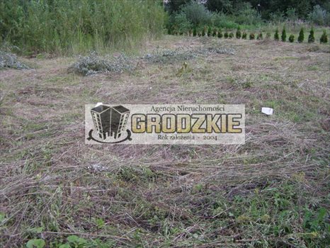 Działka budowlana na sprzedaż Ostrów 1 197m2 Foto 1