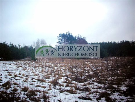 Działka budowlana na sprzedaż Bojano 1 000m2 Foto 2