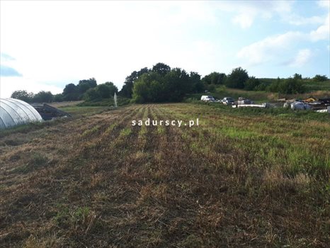 Działka budowlana na sprzedaż Dziekanowice, Długa 2 000m2 Foto 2