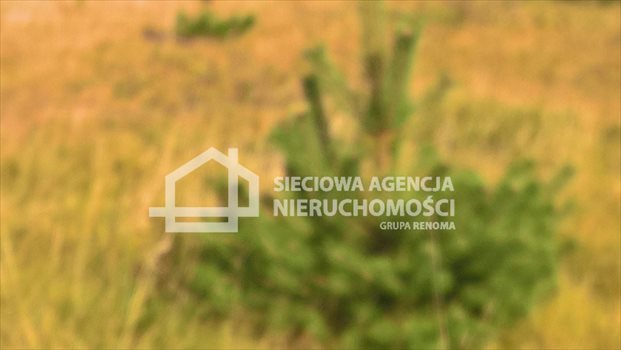 Działka budowlana na sprzedaż Łapalice 1 006m2 Foto 7