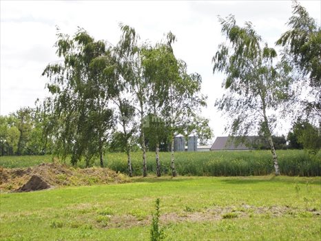 Działka budowlana na sprzedaż Przecław 1 301m2 Foto 4