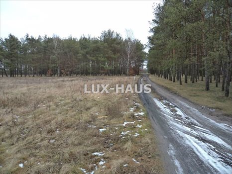Działka budowlana na sprzedaż Prądocin 921m2 Foto 10