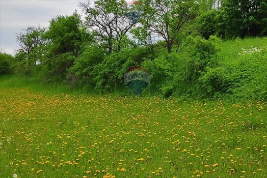 Działka rolna na sprzedaż Rabka-Zdrój 1 472m2 Foto 6