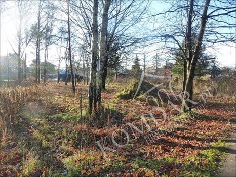 Działka budowlana na sprzedaż Warszawa, Rembertów, Karolówka 893m2 Foto 3