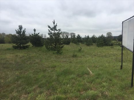 Działka inna na sprzedaż Czerniewo, CZERNIEWO, XXXXX 1 500m2 Foto 6