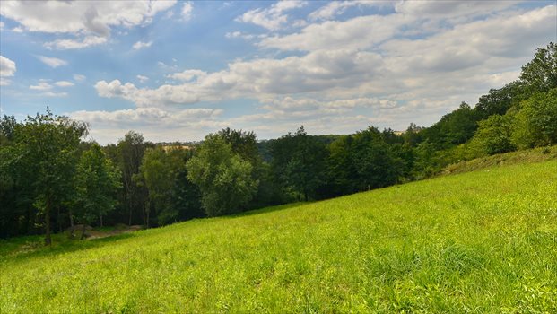 Działka rolna na sprzedaż Grębynice 51m2 Foto 4