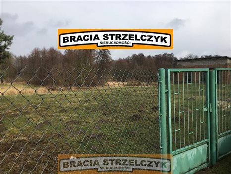 Działka rolna na sprzedaż Górka Powielińska 5 500m2 Foto 3