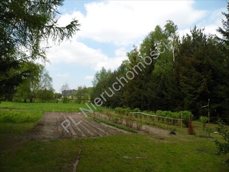 Działka budowlana na sprzedaż Wola Krakowiańska 4 341m2 Foto 2