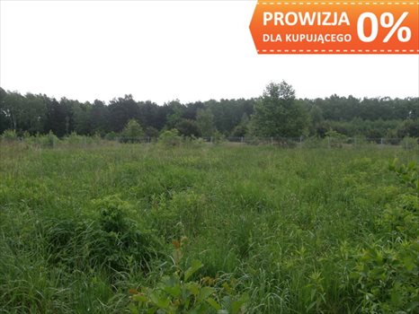 Działka budowlana na sprzedaż Warszawa, Wawer, Fromborska 1 259m2 Foto 5