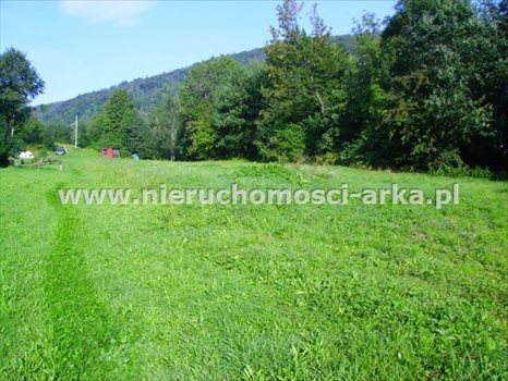 Działka budowlana na sprzedaż Gruszowiec 3 400m2 Foto 3