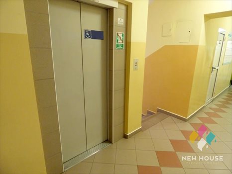 Lokal użytkowy na wynajem Olsztyn, Mikołaja Kopernika 200m2 Foto 7