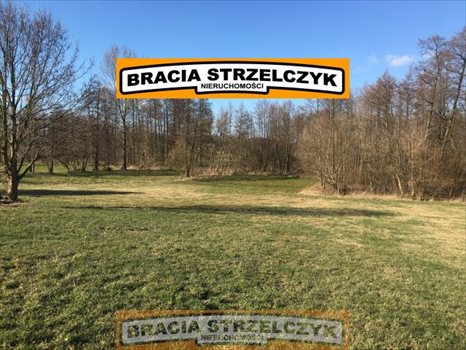 Działka rolna na sprzedaż Górka Powielińska 5 500m2 Foto 2
