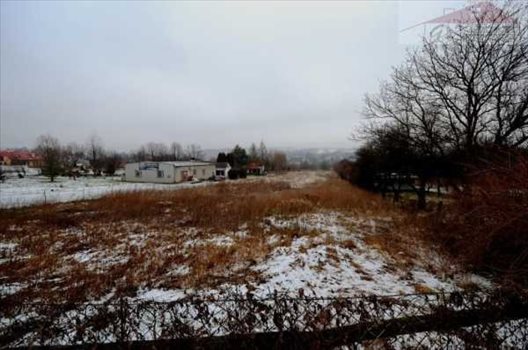 Działka budowlana na sprzedaż Ostrów 5 400m2 Foto 2