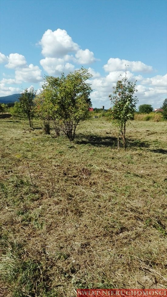 Działka budowlana na sprzedaż Rogów Sobócki, Szkolna 1 383m2 Foto 6