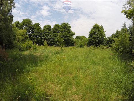 Działka rekreacyjna na sprzedaż Zarzęcin 300m2 Foto 10