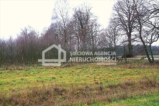 Działka leśna na sprzedaż Strzeczona 206 330m2 Foto 8