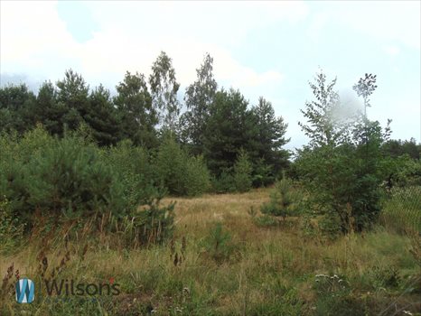 Działka budowlana na sprzedaż Kopana 1 431m2 Foto 2