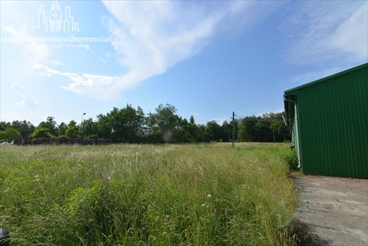 Działka inna pod dzierżawę Dąbrówki, Dąbrówki 6 000m2 Foto 3