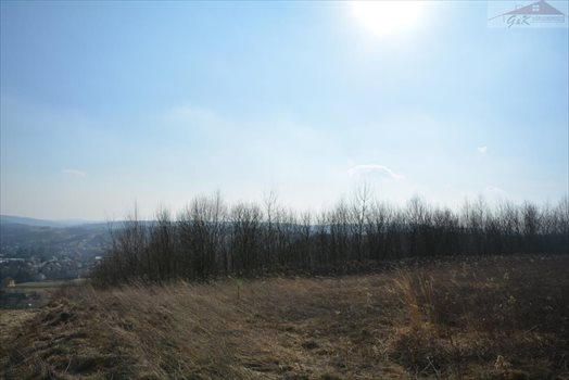 Działka rekreacyjna na sprzedaż Nozdrzec 3 023m2 Foto 7