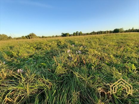 Działka budowlana na sprzedaż Rzeszów, Zalesie, Forsycji 733m2 Foto 2