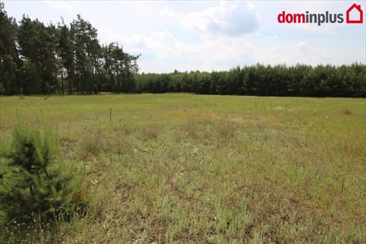 Działka inna na sprzedaż Sąsieczno 1 500m2 Foto 8