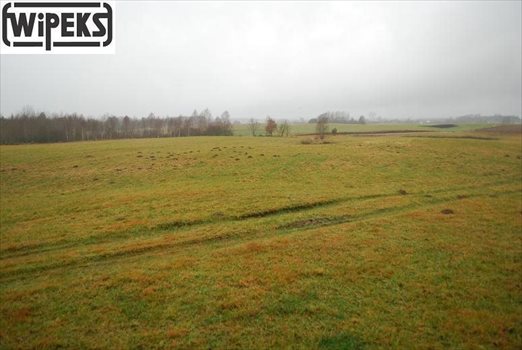 Działka inna na sprzedaż Rokity 27 000m2 Foto 2
