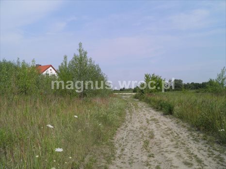 Działka budowlana na sprzedaż Siechnice 2 772m2 Foto 13