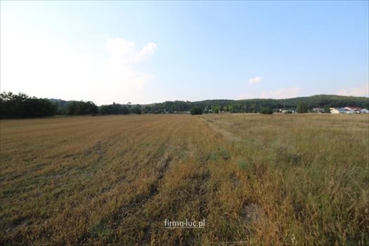 Działka rolna na sprzedaż Bogdaniec 1 500m2 Foto 2