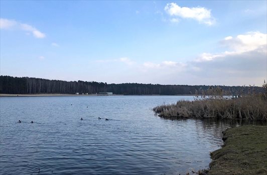Dom na sprzedaż Gołuchów, Kopiczyńskiego 80m2 Foto 1