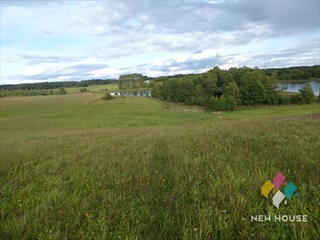 Działka budowlana na sprzedaż Wipsowo 12 500m2 Foto 9