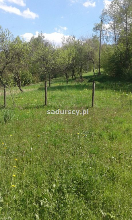 Dom na sprzedaż Wola Radziszowska 120m2 Foto 10