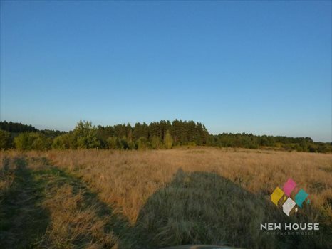 Działka budowlana na sprzedaż Wójtowo, Krokusowa 1 240m2 Foto 5