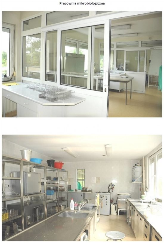 Lokal użytkowy na sprzedaż Olsztyn 931m2 Foto 4