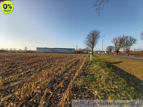 Działka inwestycyjna na sprzedaż Domasław, Oławska 7 000m2 Foto 5