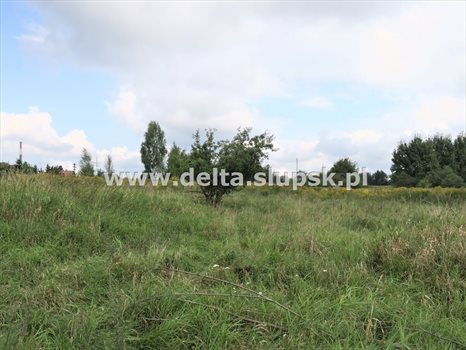 Działka inna na sprzedaż Kobylnica 1 082m2 Foto 6