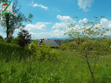Działka budowlana na sprzedaż RABKA-ZDRÓJ 1 400m2 Foto 2