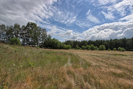 Działka budowlana na sprzedaż Brzózki 2 815m2 Foto 2