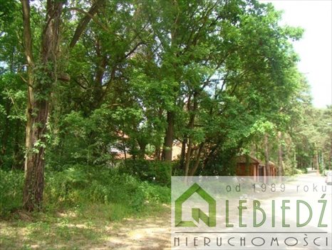 Działka budowlana na sprzedaż Łomianki, Dąbrowa Leśna, Grzybowa 1 643m2 Foto 3