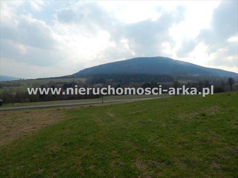 Działka budowlana na sprzedaż Dobra 3 700m2 Foto 3