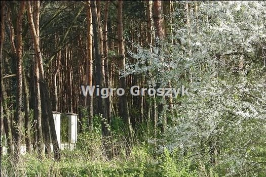Działka budowlana na sprzedaż Marki, Pustelnik 2 031m2 Foto 6