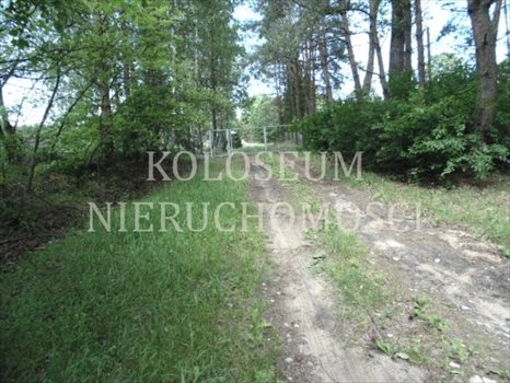 Działka budowlana na sprzedaż Bartoszylas, Stara Kiszewa, Kaszuby, Kościerzyna 35 500m2 Foto 12