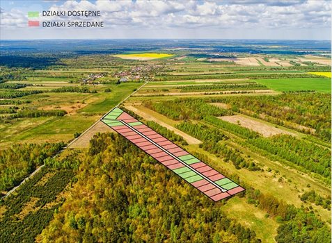 Działka budowlana na sprzedaż Opoczno, Działka pod zabudowę jednorodzinną blisko lasu 703m2 Foto 3