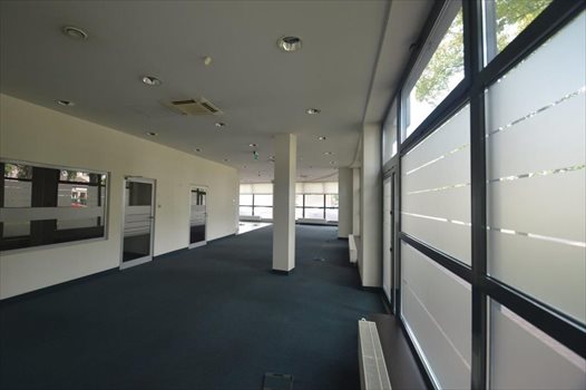 Lokal użytkowy na sprzedaż Płock, Centrum, 1 Maja 12 300m2 Foto 4