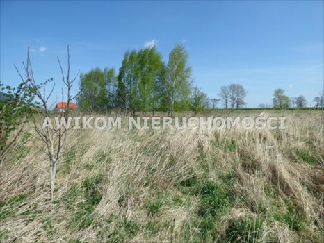 Działka budowlana na sprzedaż Skierniewice, Miedniewice 2 000m2 Foto 1