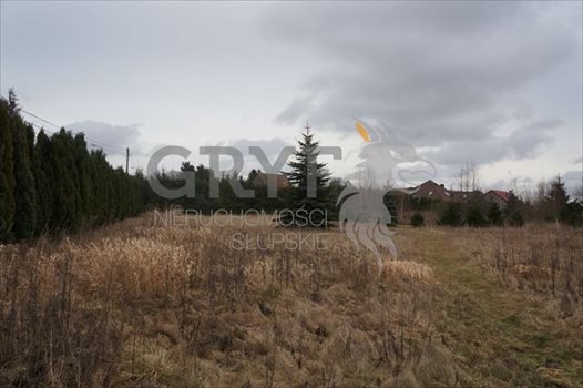 Działka inna na sprzedaż Wielichowo 5 600m2 Foto 2
