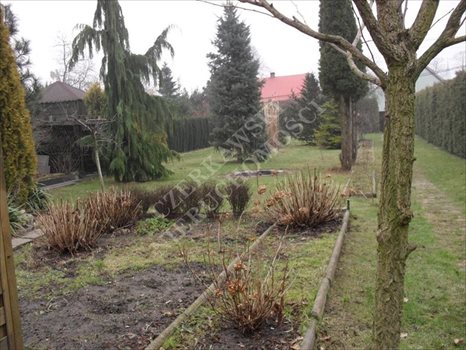 Działka inna na sprzedaż Gliwice, Brzezinka 850m2 Foto 3